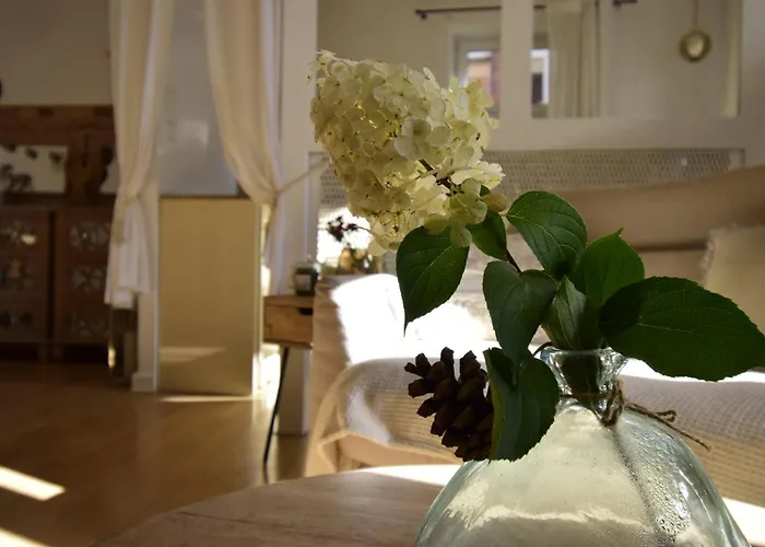 Style & Center Spot *